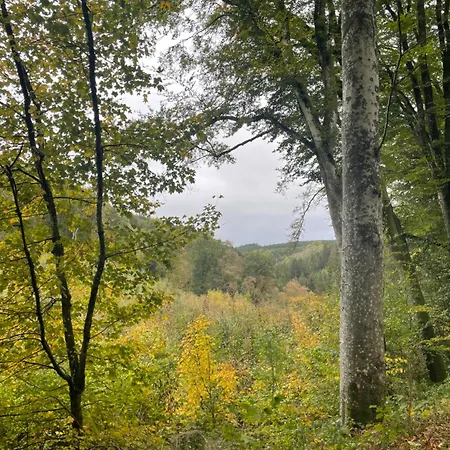 Les Soigneurs 3* Grandmenil