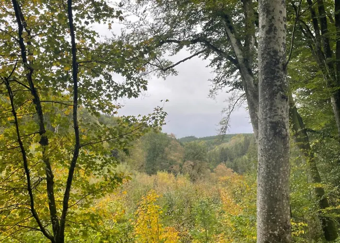 Les Soigneurs 3* Grandmenil