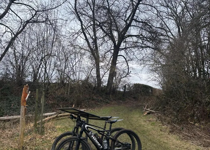 Bed & Breakfast Les Soigneurs Grandmenil